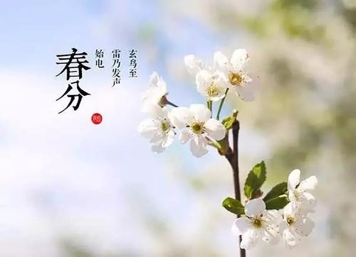 春分的说说心情短语