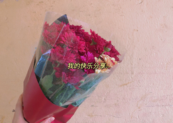 三八妇女节的手抄报内容大全