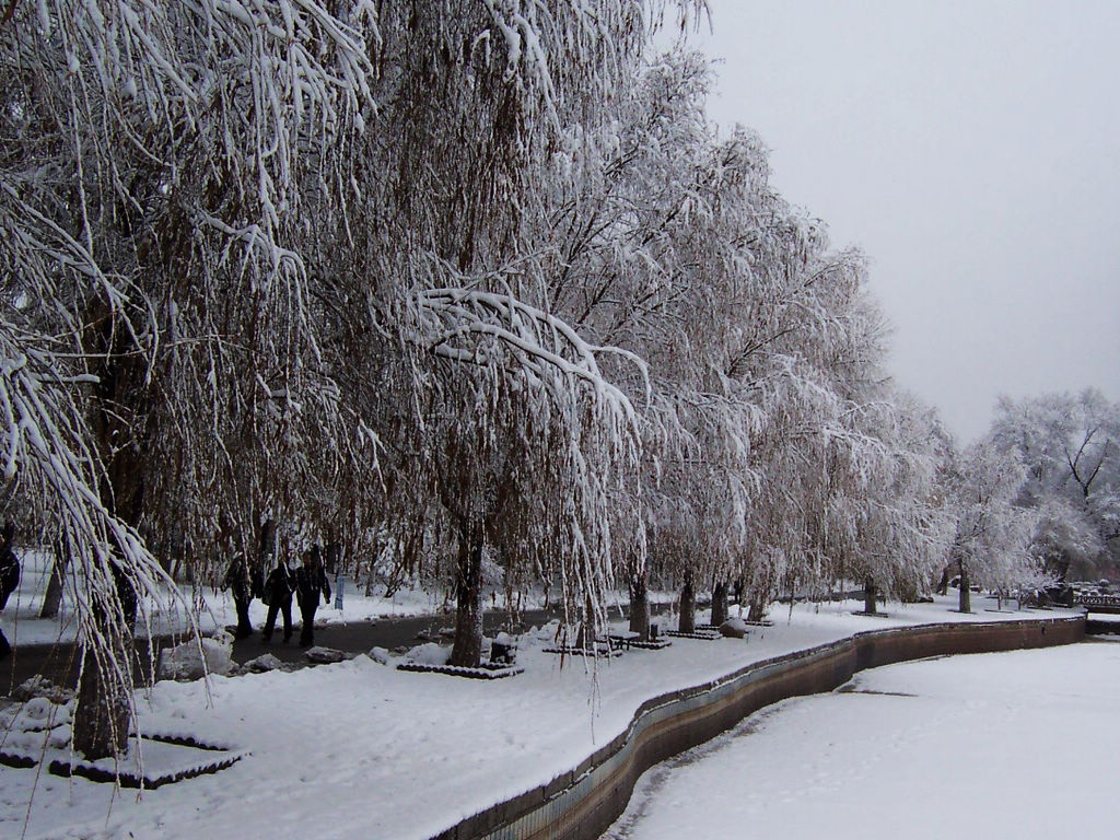 雨雪天客户问候短信
