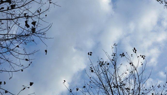 11月养生短信问候