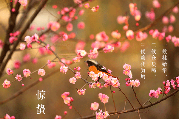 惊蛰的古诗