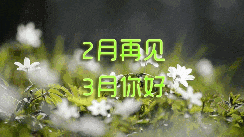 二月再见三月你好心语图片