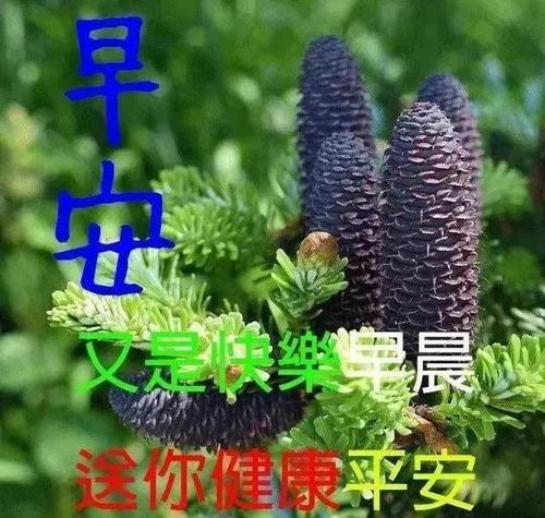 客户维护短信温馨短信早上问候语