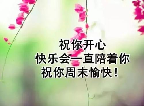关于中午的问候短信