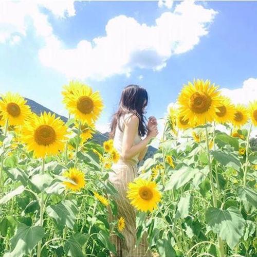 适合女孩子看的文案