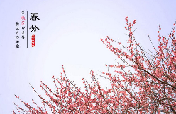 关于春分节气的古诗