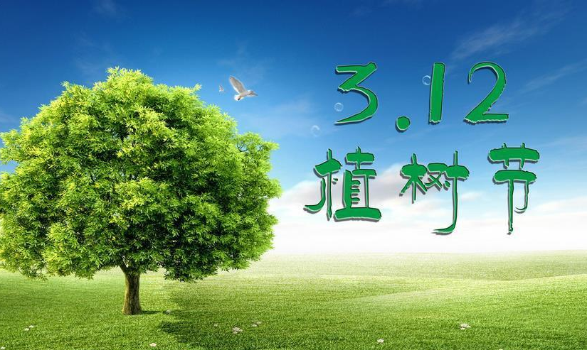 植树节发朋友圈的唯美句子