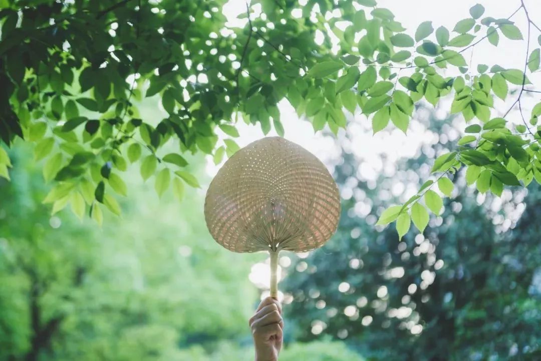 感恩爱人的句子或一段话