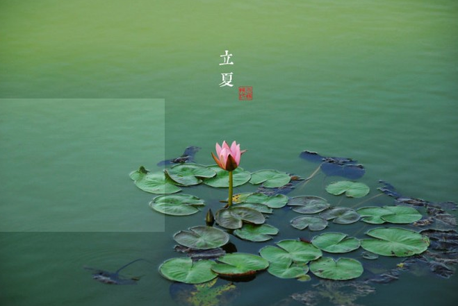 立夏的经典语录