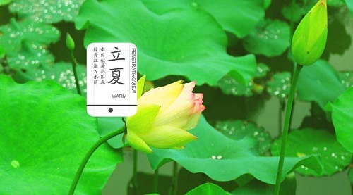形容立夏的美好语句