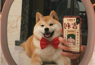 精选经典有趣的句子