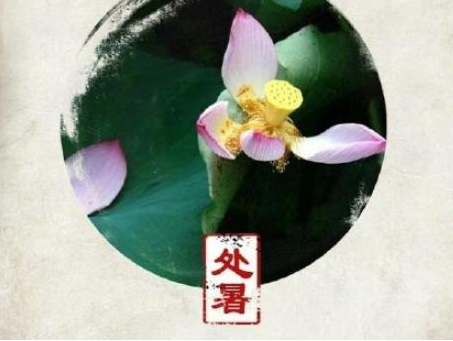 处暑发朋友圈的短语