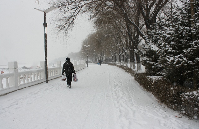 发朋友圈下雪高端句子 下雪了晒朋友圈怎么说